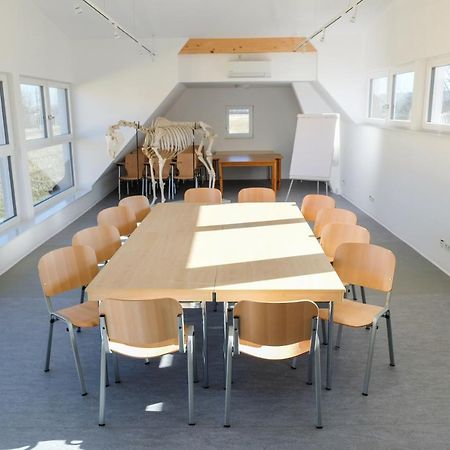 Equiliber Reitkunstzentrum Burgenland Wulkaprodersdorf 외부 사진
